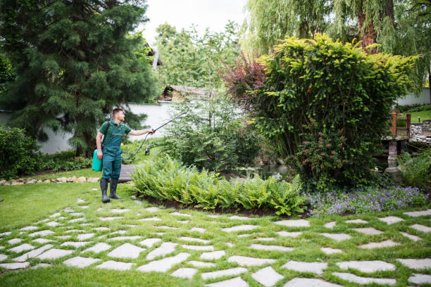 Reliable North Myrtle Beach, SC Pest Control Solutions